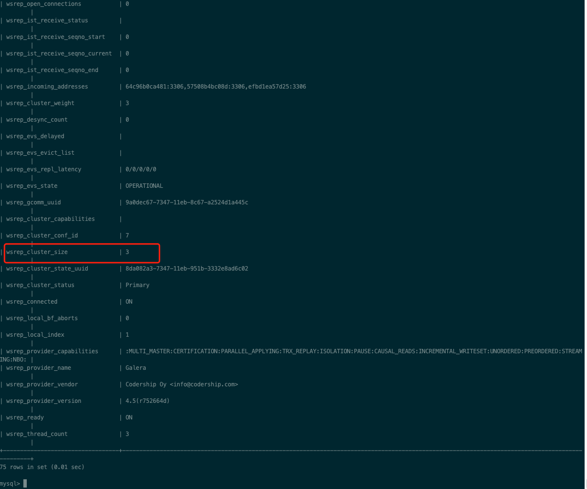 image-20210224095442347