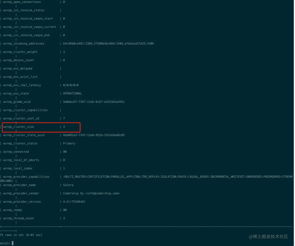 image-20210224095442347