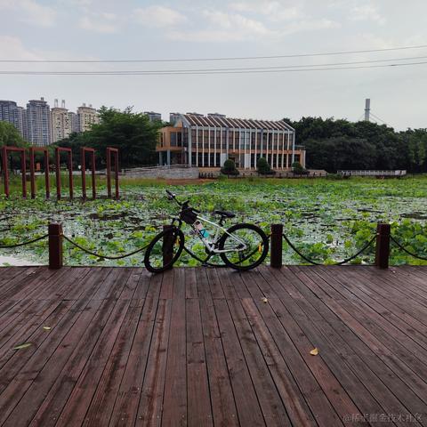 媛媛啊9813于2024-05-01 21:57发布的图片