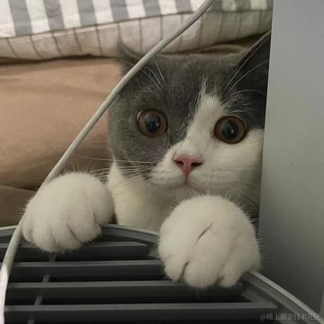 Livingbody于2021-10-27 22:32发布的图片