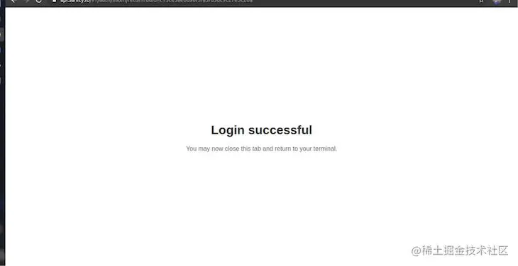 Login Successful Screen