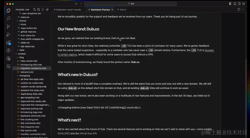 Novel VSCode插件