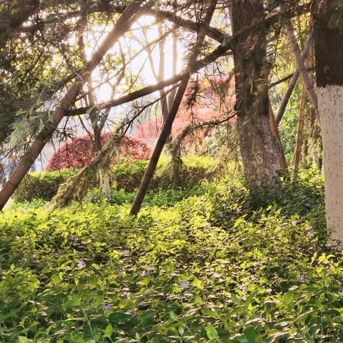 用户7186131603423于2023-04-18 22:02发布的图片