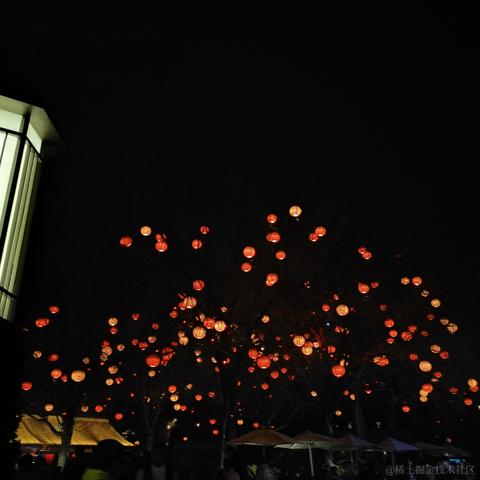 webxue于2023-02-04 00:12发布的图片