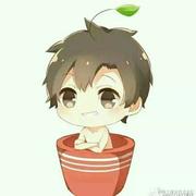 windjyf的个人资料头像