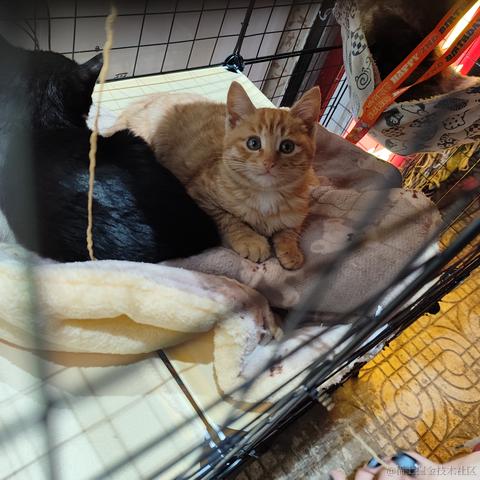 晚晚的水母小挂件于2022-11-12 19:21发布的图片