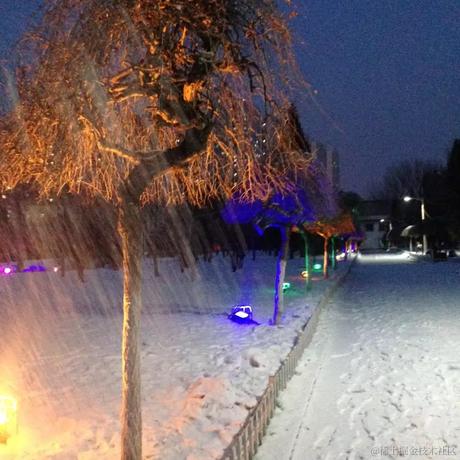 缟衣綦巾于2022-12-03 19:13发布的图片