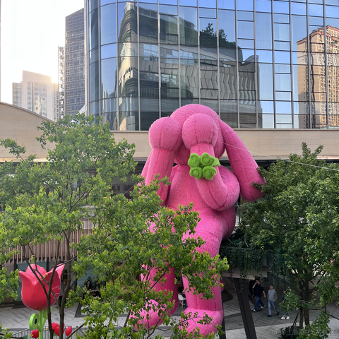 Lu_cia于2023-05-06 12:24发布的图片
