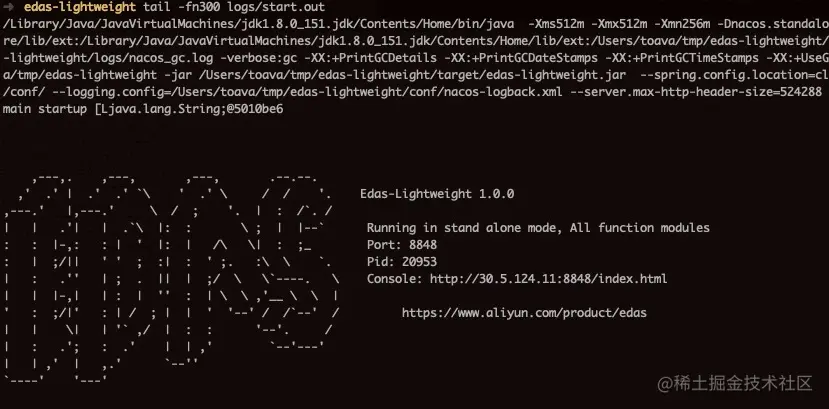 启动轻量级配置及注册中心