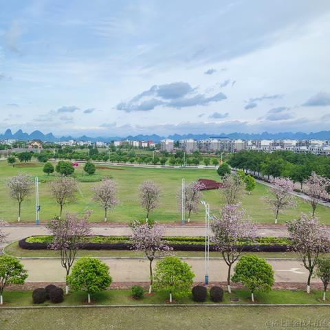 zzzsleep于2022-04-30 14:33发布的图片