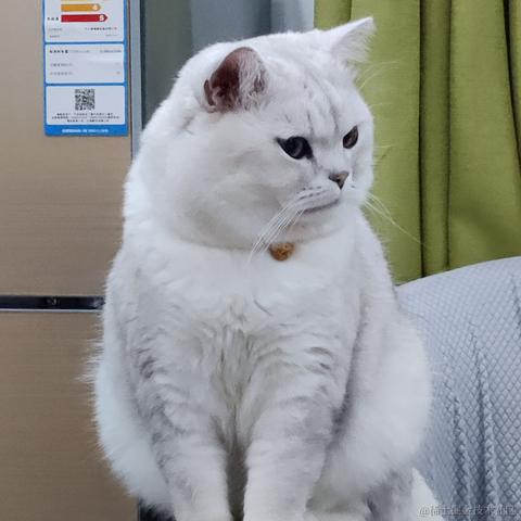 叨叨呀于2022-06-16 09:46发布的图片