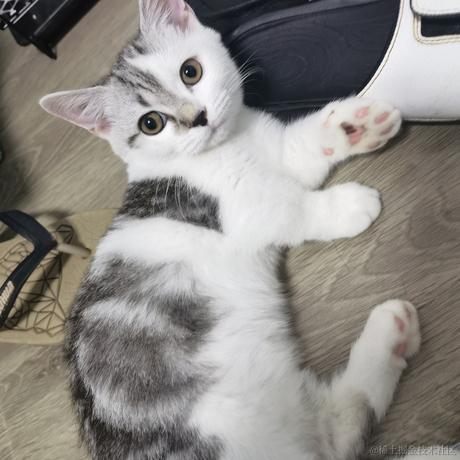 聪明勇敢贝极星于2022-11-28 01:26发布的图片