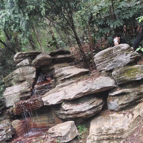 所飒于2022-11-28 22:06发布的图片