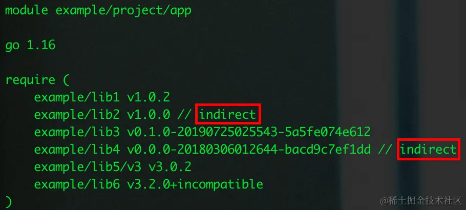 image-20230116195253066