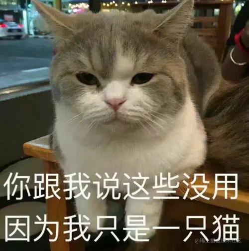 面试官！垃圾回收千万别问我