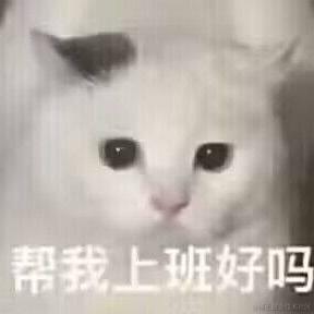 客怎眠于2024-02-27 08:44发布的图片