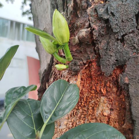 奔跑的水瓜于2022-02-22 09:44发布的图片