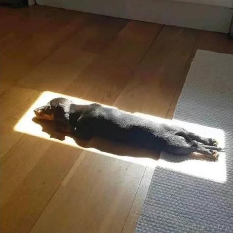 苍界于2023-06-20 22:25发布的图片