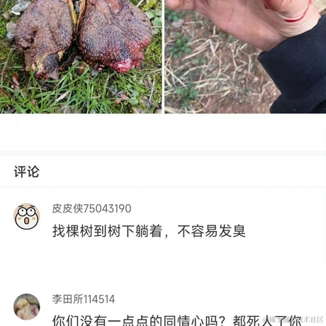 Junkman丶于2022-08-08 10:34发布的图片