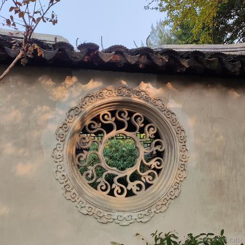 优秀稳妥的金枪小魔王于2023-11-28 11:00发布的图片