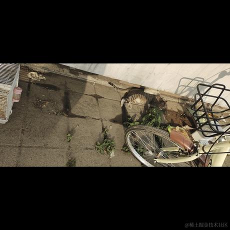 一只爱敲代码的少女于2022-06-11 17:30发布的图片