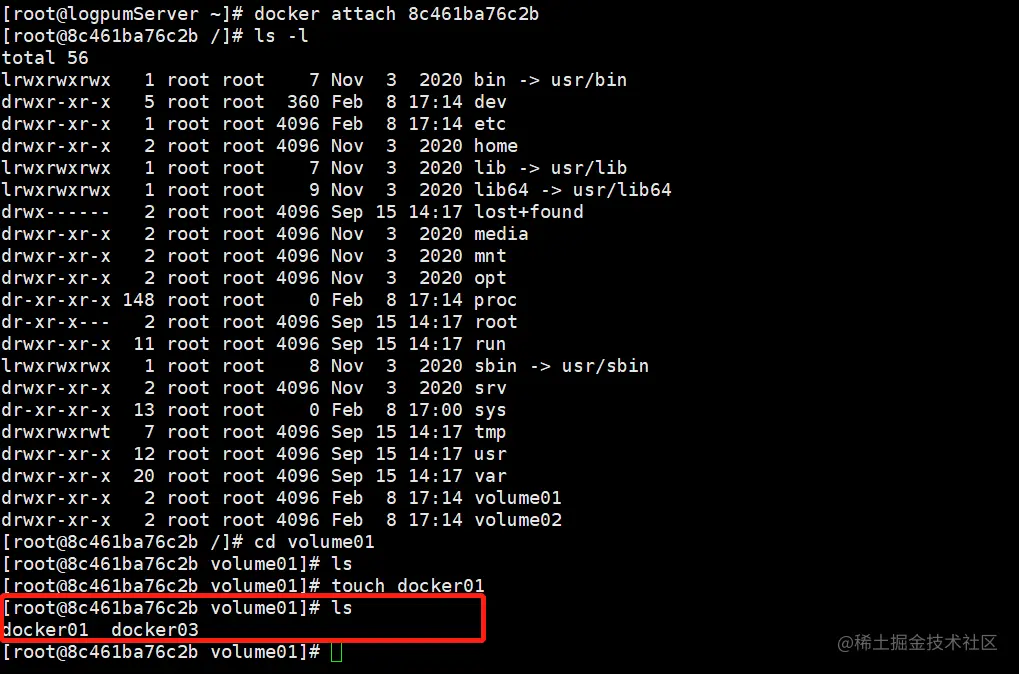 image-20220209012523656