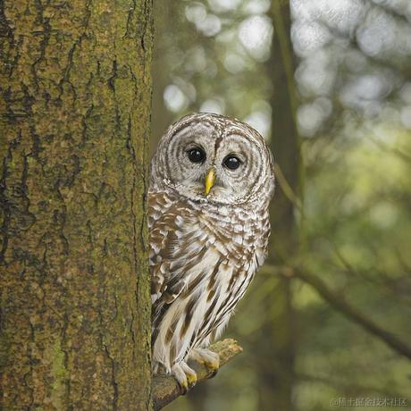 小鱼别别跑于2020-09-02 09:38发布的图片