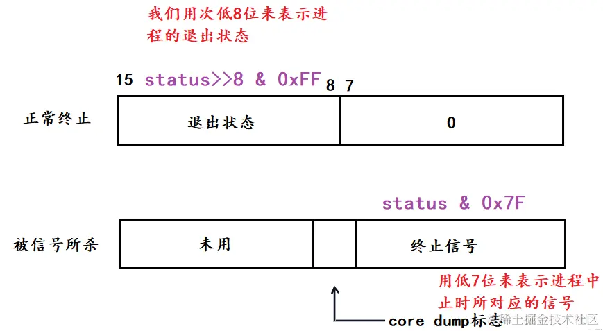 image-20240211010330860