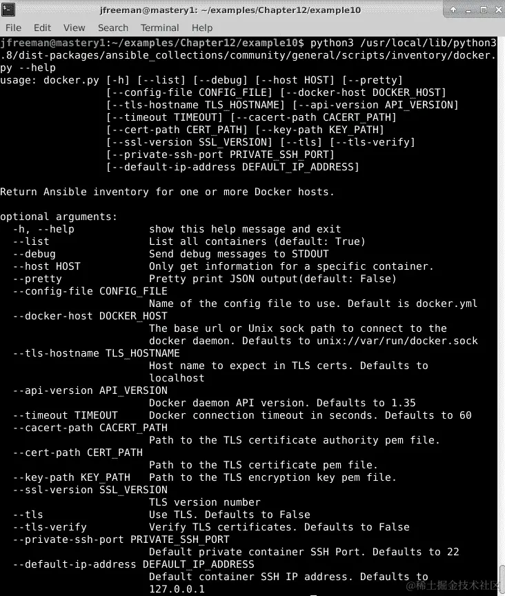 图 12.18 - 检查 Docker 动态清单脚本上可用的选项