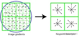 magic math