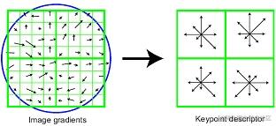 magic math