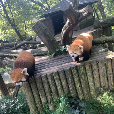 切图_仔于2022-10-05 21:46发布的图片