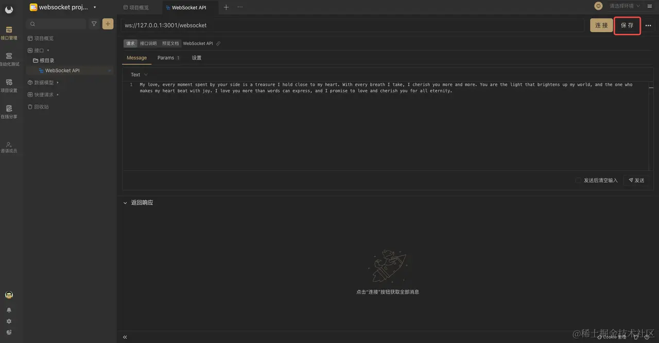 postman 测试 Websocket 接口