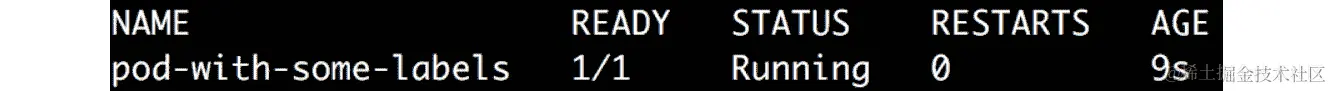 图 6.6：检查带有一些标签的 pod 的状态