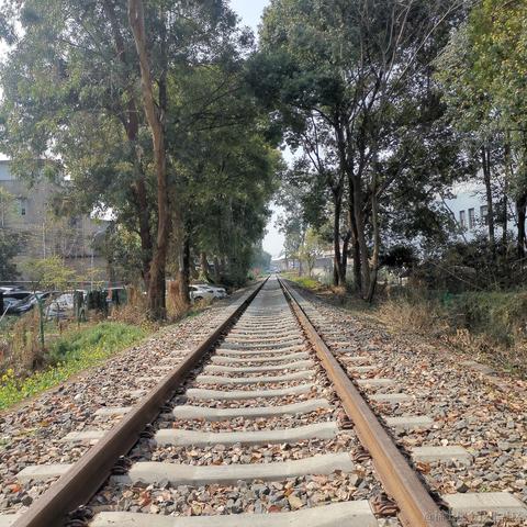 小小喵于2023-03-11 11:57发布的图片