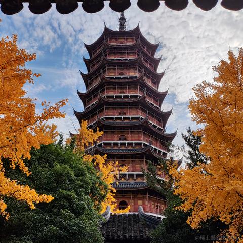 优秀稳妥的金枪小魔王于2023-12-05 15:38发布的图片