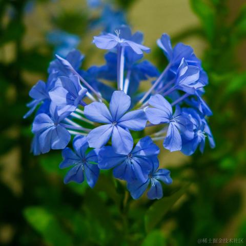 牛肉烧板黎于2022-06-08 08:44发布的图片