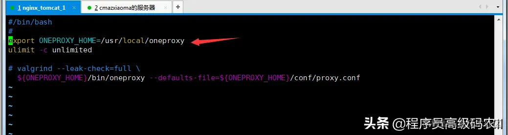 可扩展分布式数据库集群的搭建，OneProxy分库分区设计