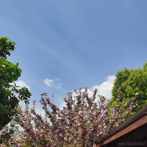 快跑的前端弱鸡于2021-04-13 08:39发布的图片
