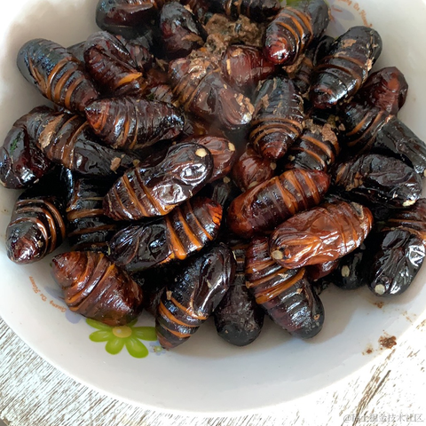 切图_仔于2022-11-24 16:52发布的图片