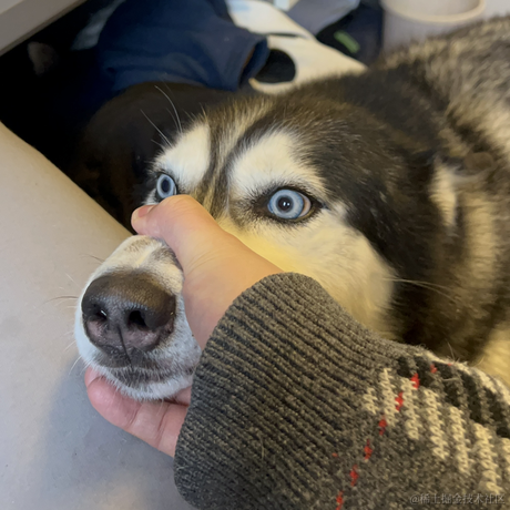 王老狮于2022-02-17 15:45发布的图片