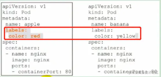 image-20210313135411540