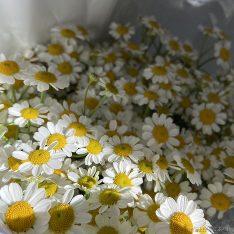 MonicaWoo于2021-04-28 10:51发布的图片