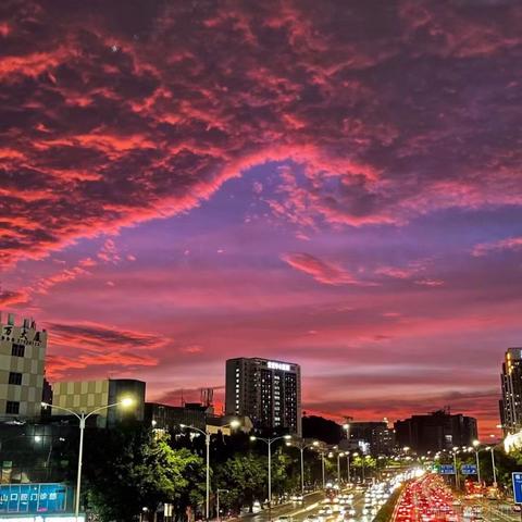 法医于2022-09-12 18:54发布的图片