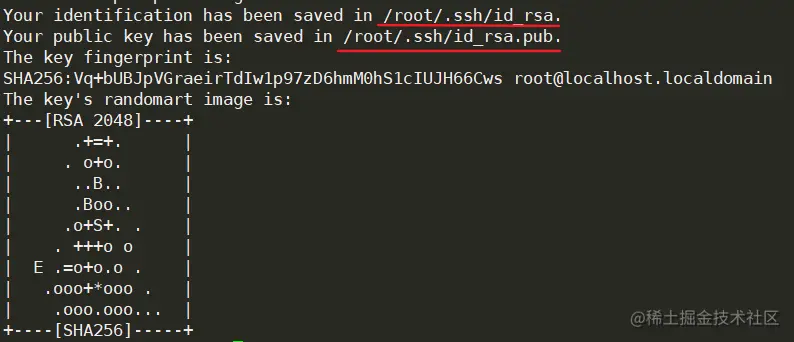 image-20220324002139567