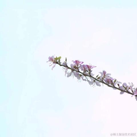 折花赠汝于2023-03-13 16:57发布的图片