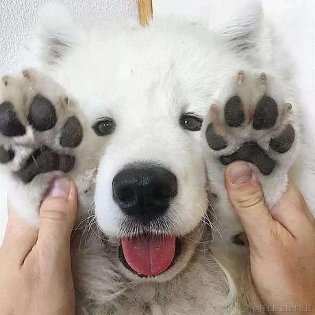 某水果于2022-12-18 17:30发布的图片