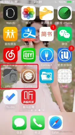 越狱成功之后就会有这两个文件