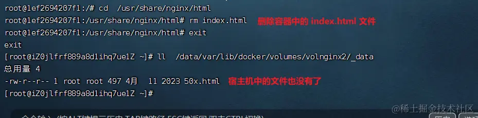 image-20240214165059819