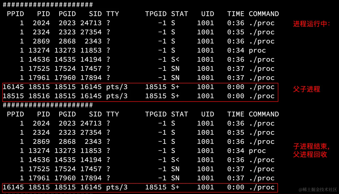 image-20221013102527447